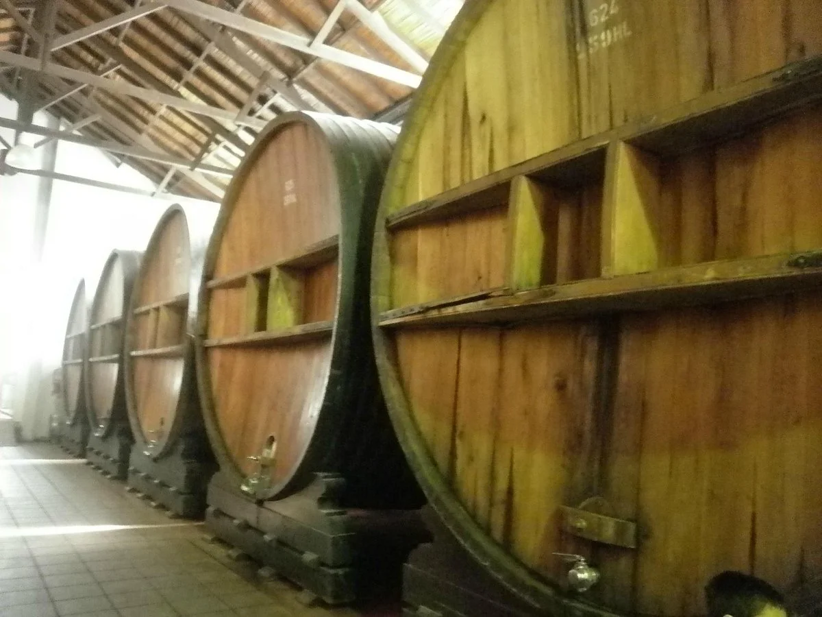 La Ruta del Vino