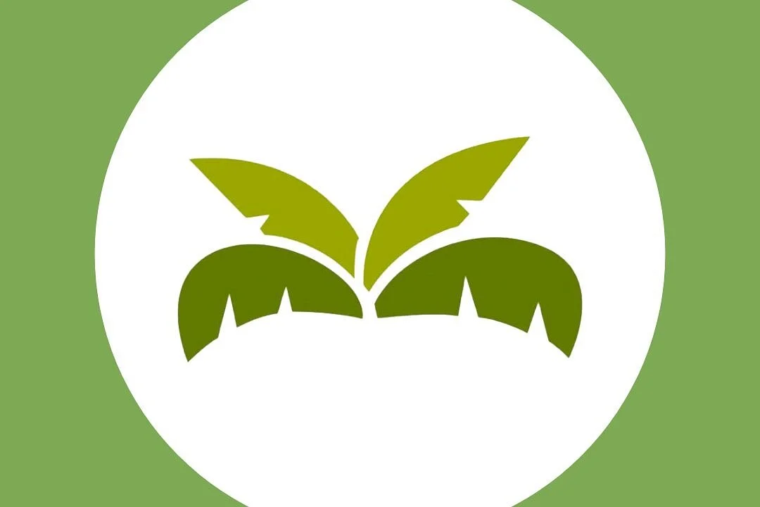 Tropicana Turismo | Receptivo