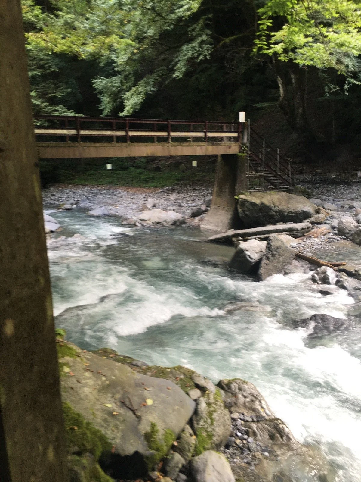 Nippara Keiryu Tsuriba Fishing Site