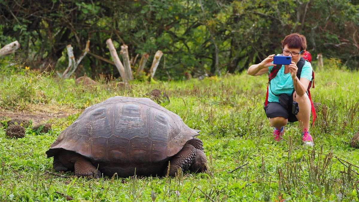 Galapagos Path