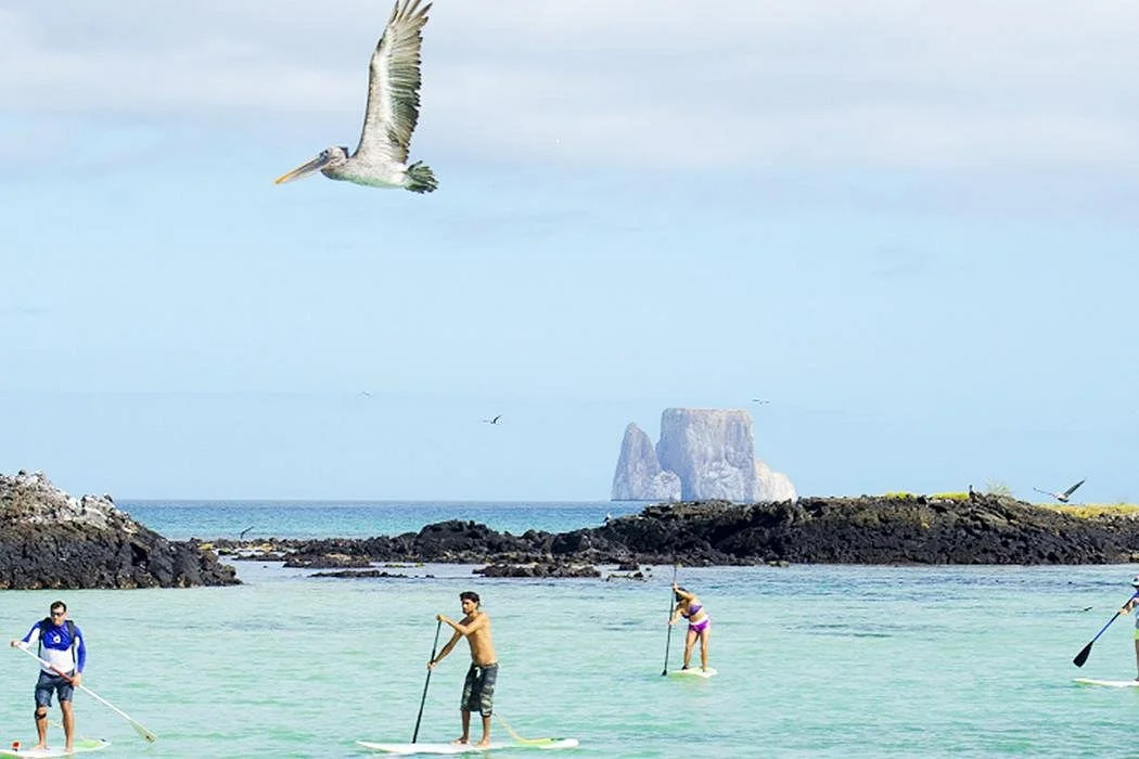 SUP Galapagos (Official)