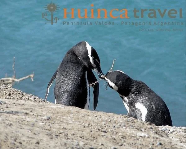 Huinca Travel