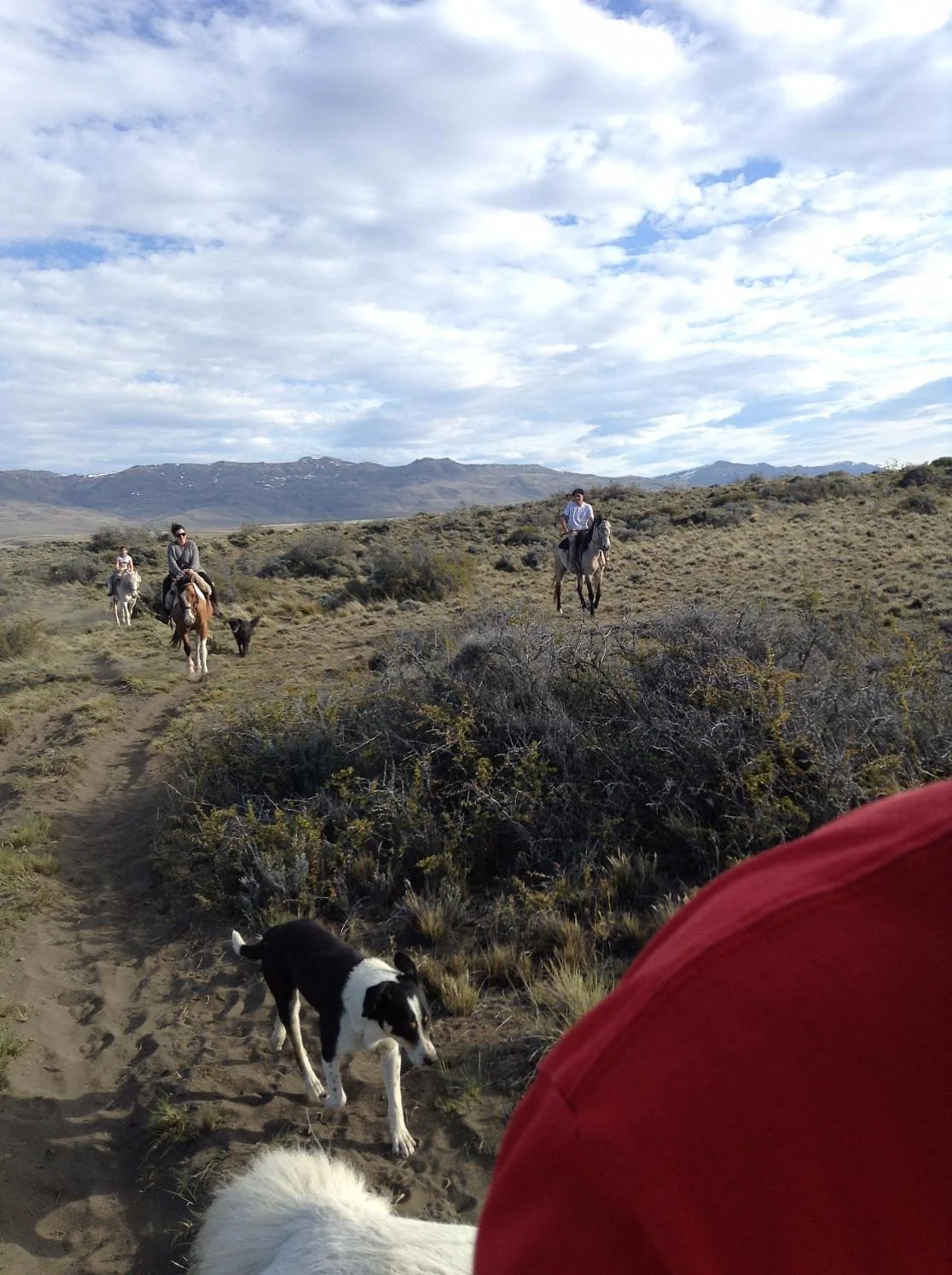 Cabalgata en Patagonia