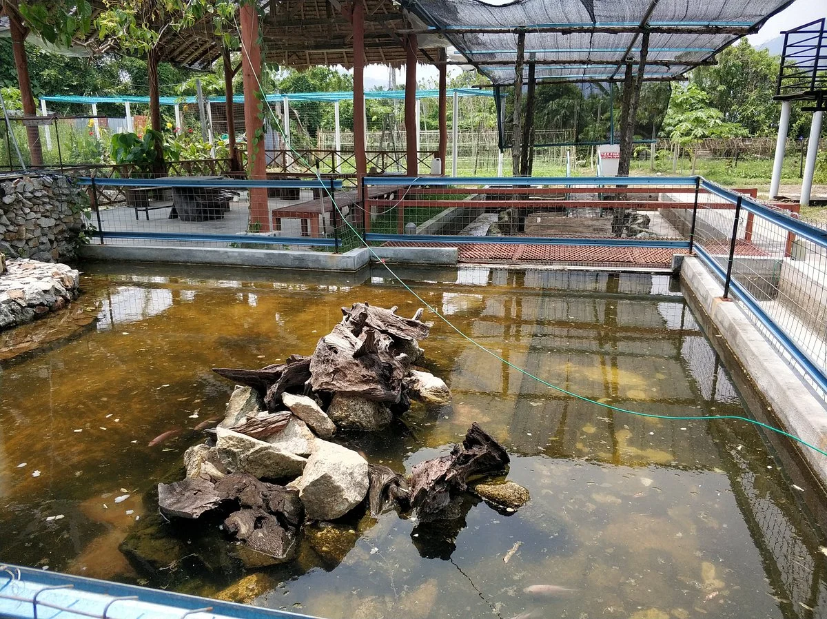 Audi Dream Farm