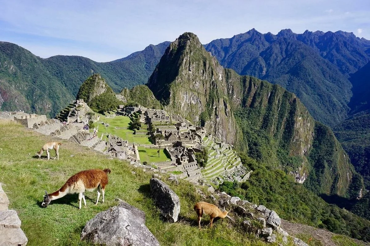 Inca Dynasty