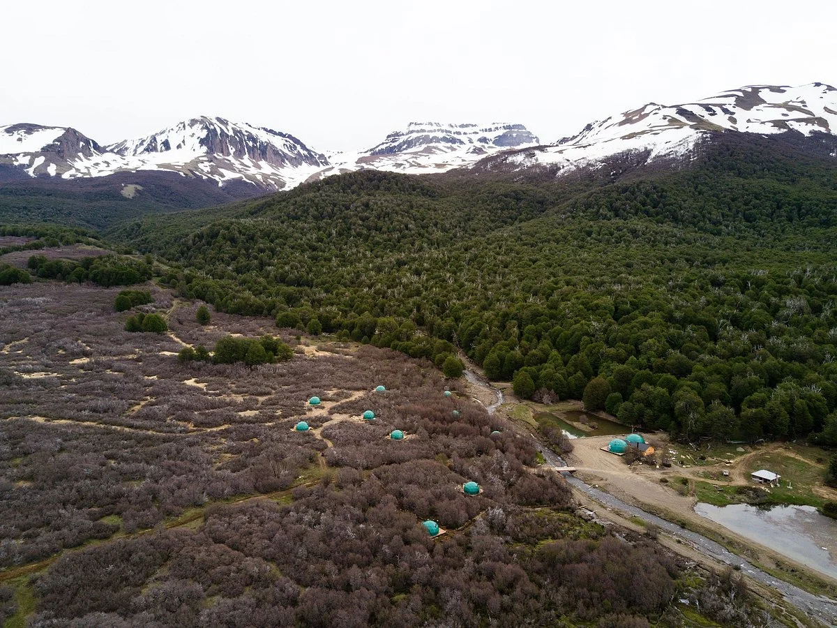 Huemules - Reserva de Montana