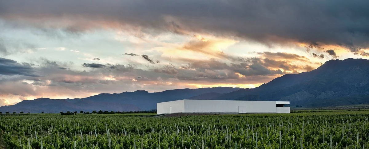 Bodega Rolland