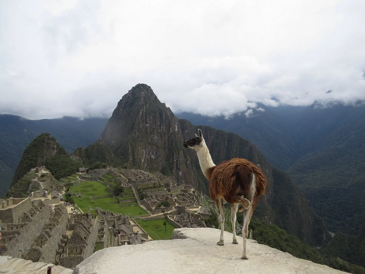 Peruvian Terra