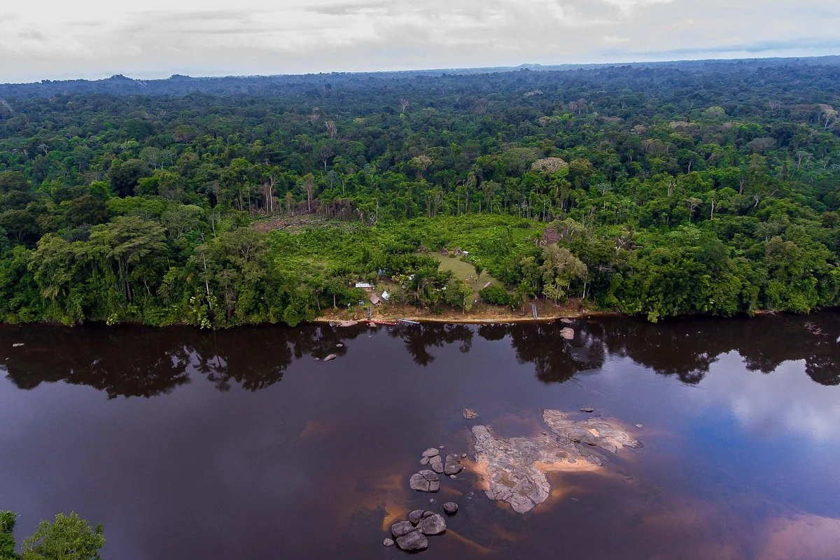 Impressive Suriname Travel & Services