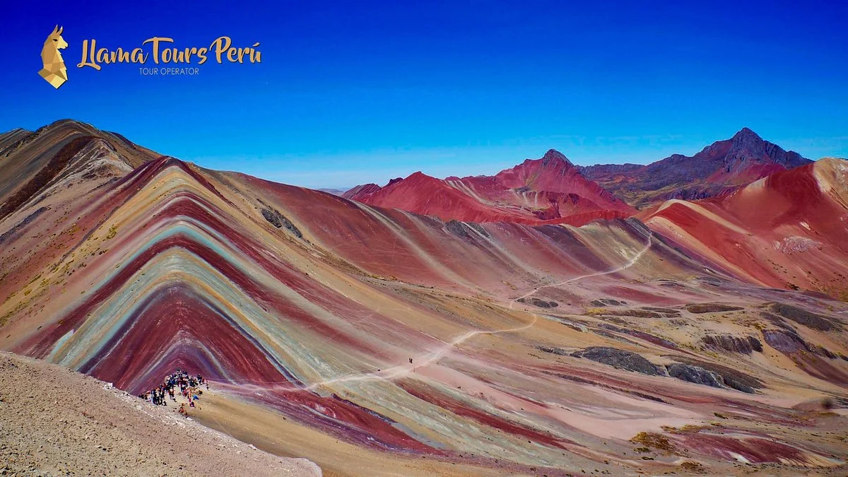 Llama Tours Peru - Tour Operator