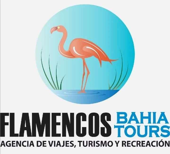 Flamencos Bahia Tours