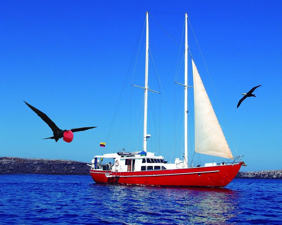Scuba Galapagos