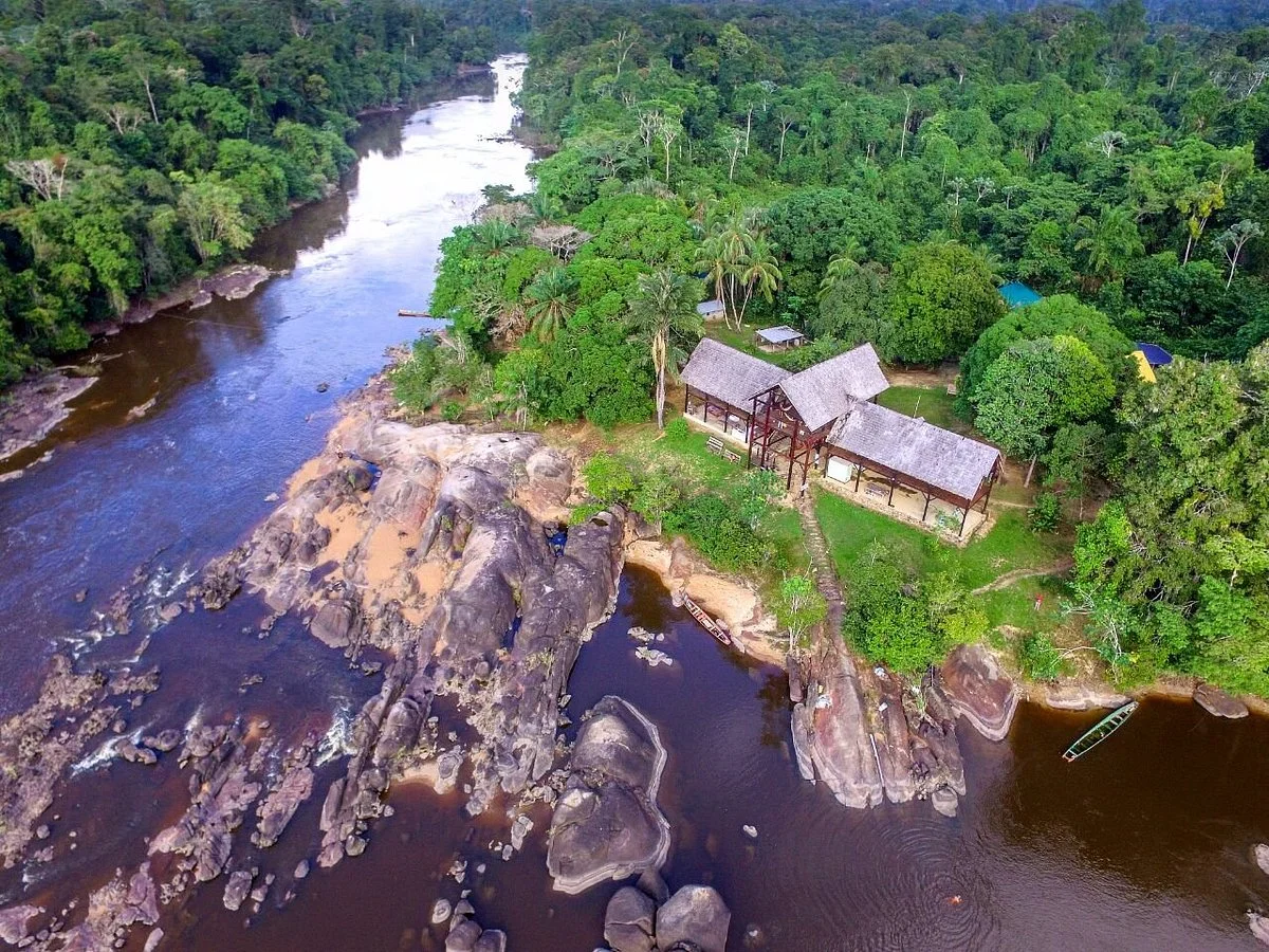 All Suriname Tours