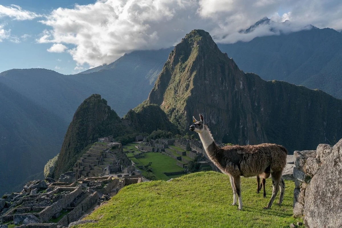 Machupicchu Trips Peru