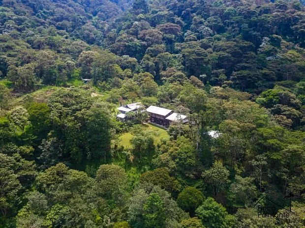 Finca Palmonte