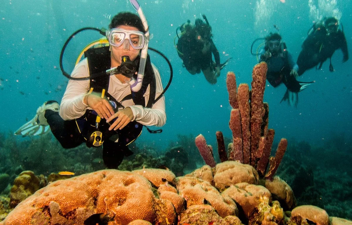 Aquarium Scuba