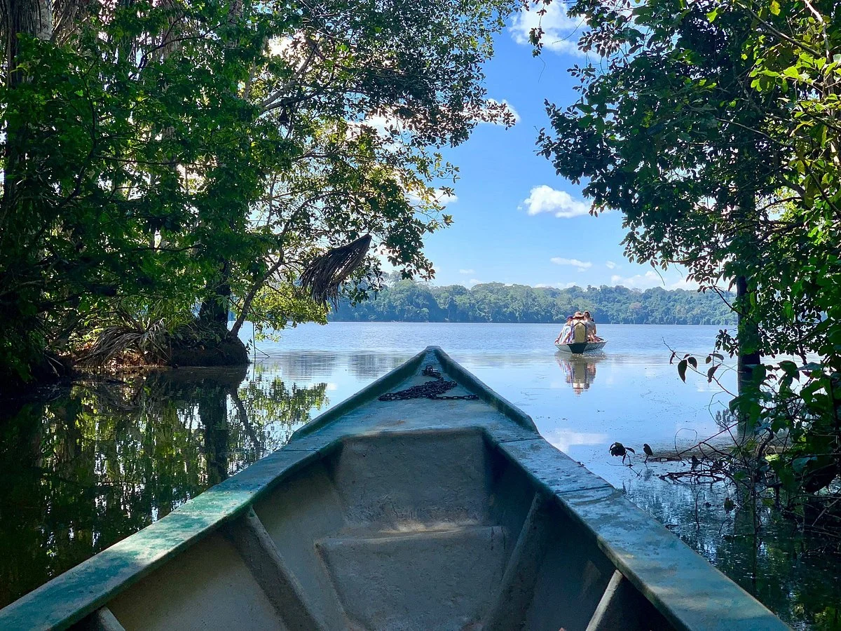 Tambopata Wild