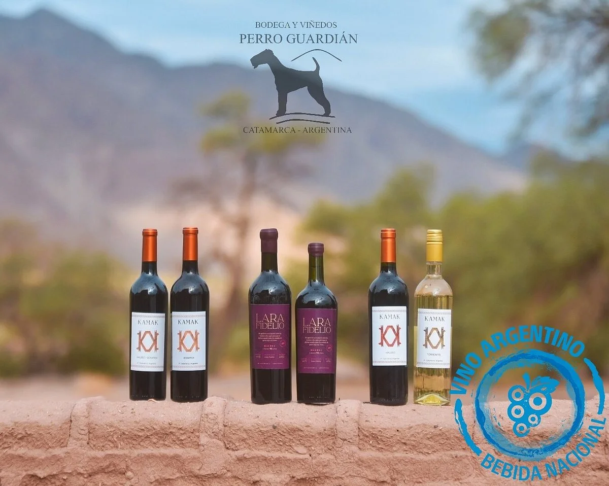 Bodega Perro Guardian