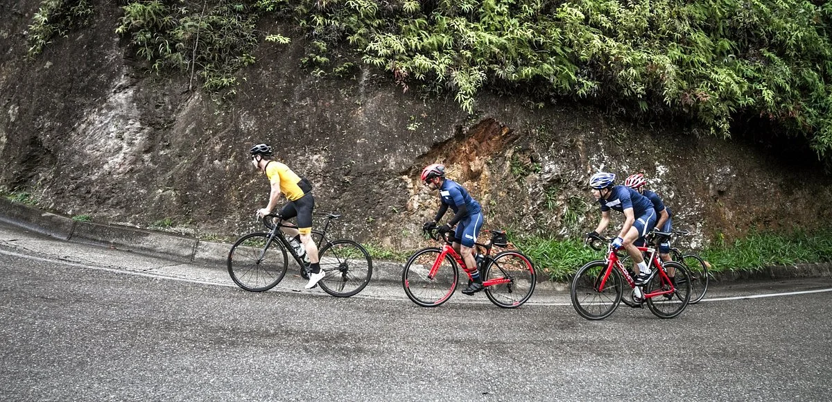 Gregario Cycling Tours