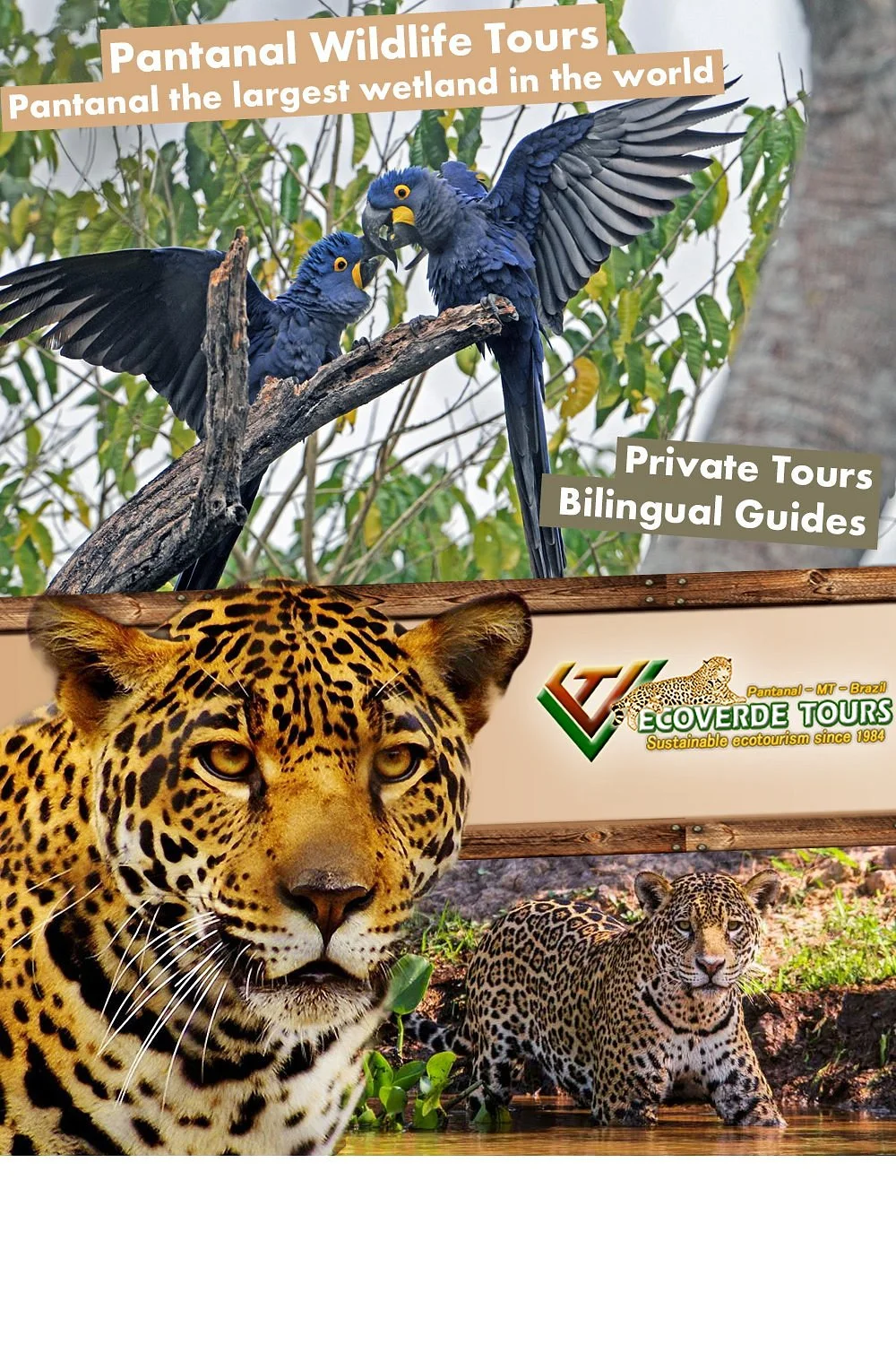 Ecoverde Tours