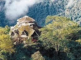 Pajonal Tours