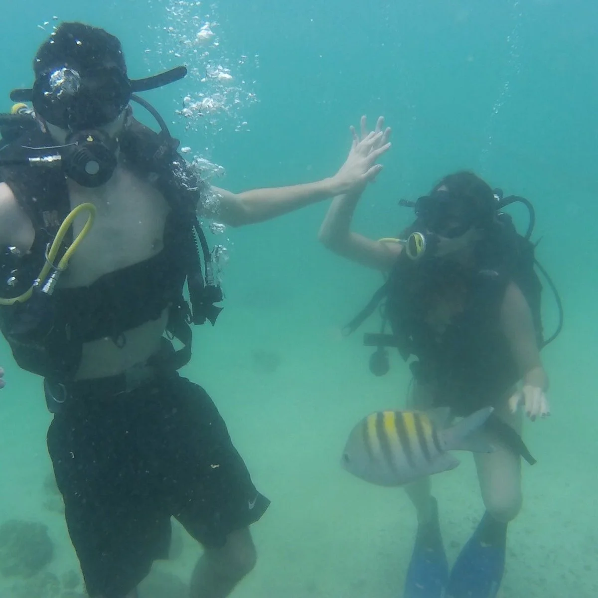 Porto Dive