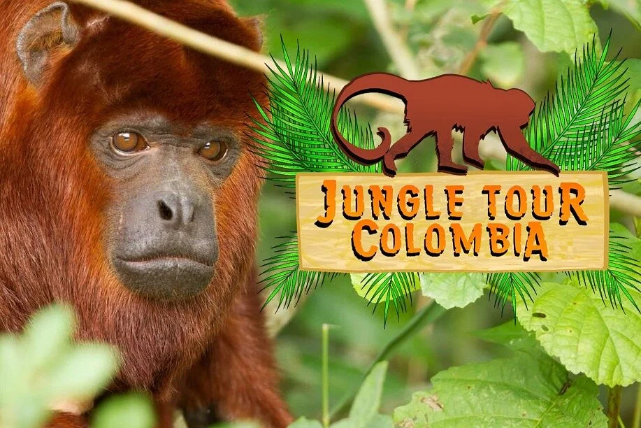 Jungle Tour Colombia