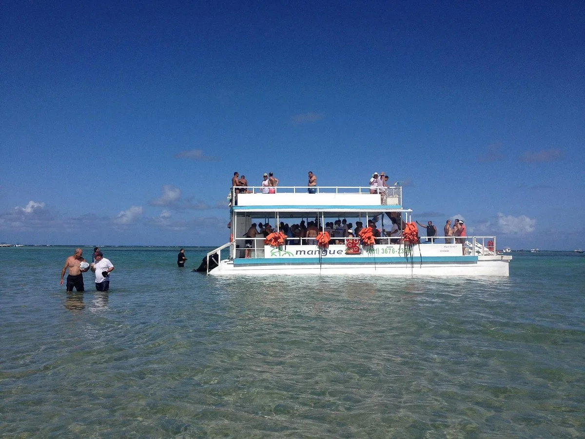 Manguezal Ecoturismo