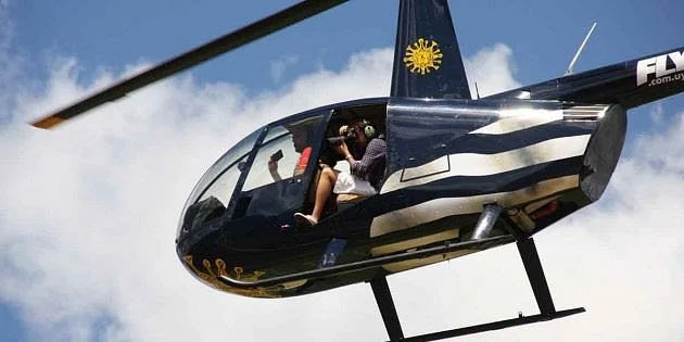Fly