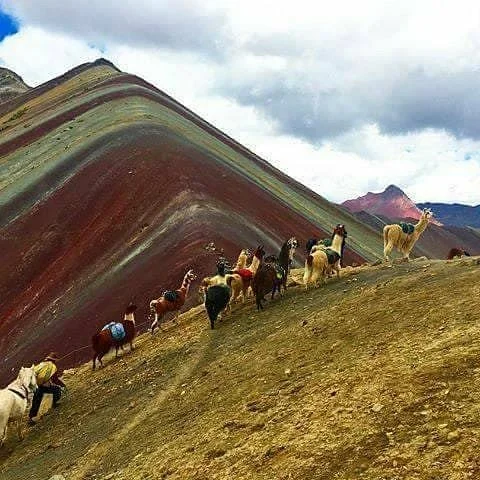 Magical Peru Expeditions