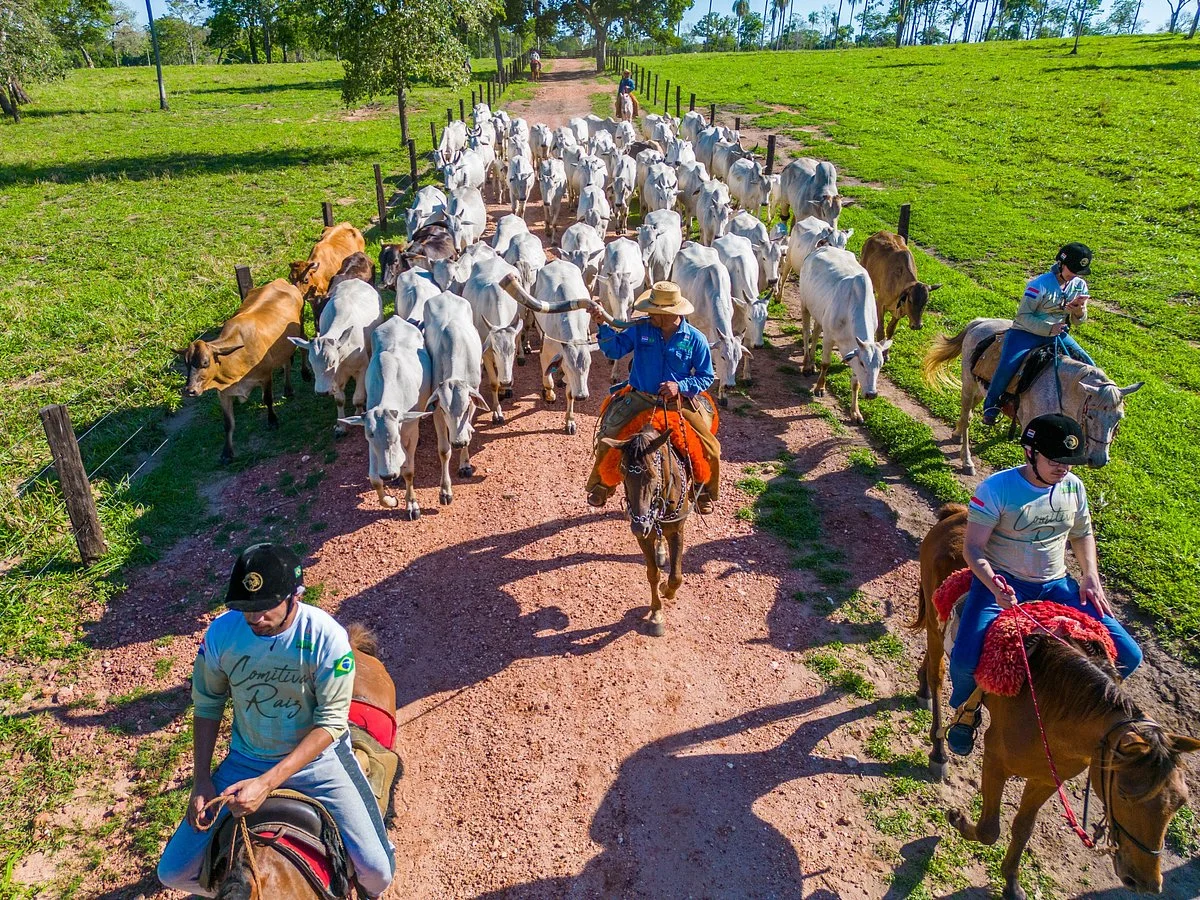Pantanal Experiência