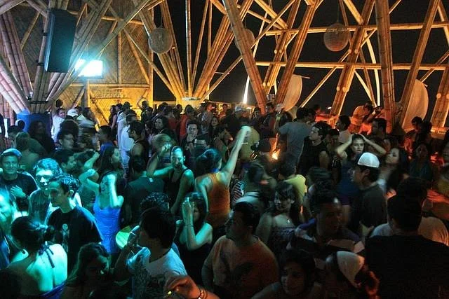 Nativa Bambu Disco
