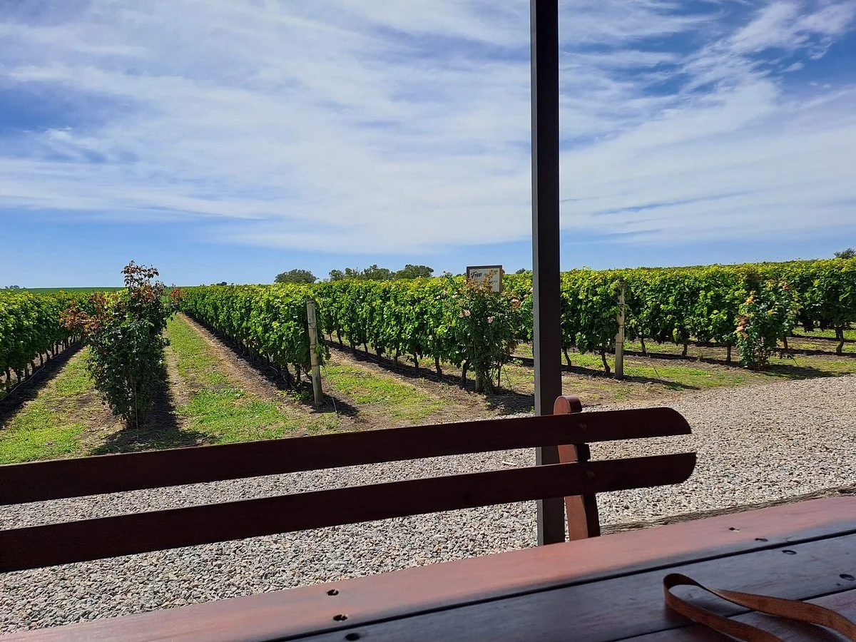 Fripp Viñedos Y Bodega