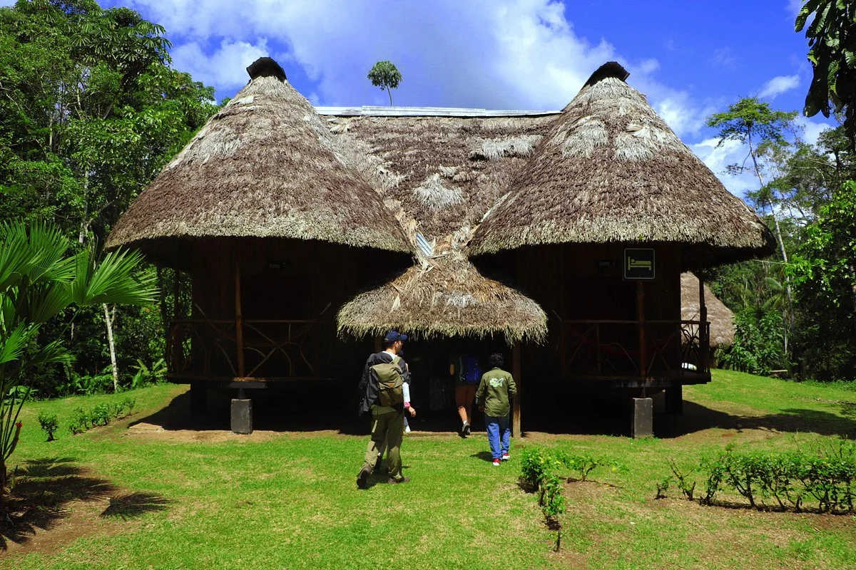 Amazon Wildlife Tours Ecuador
