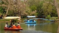 Chetak Park
