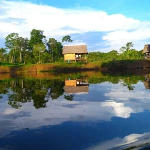 Amazon Ayahuasca Tour Peru