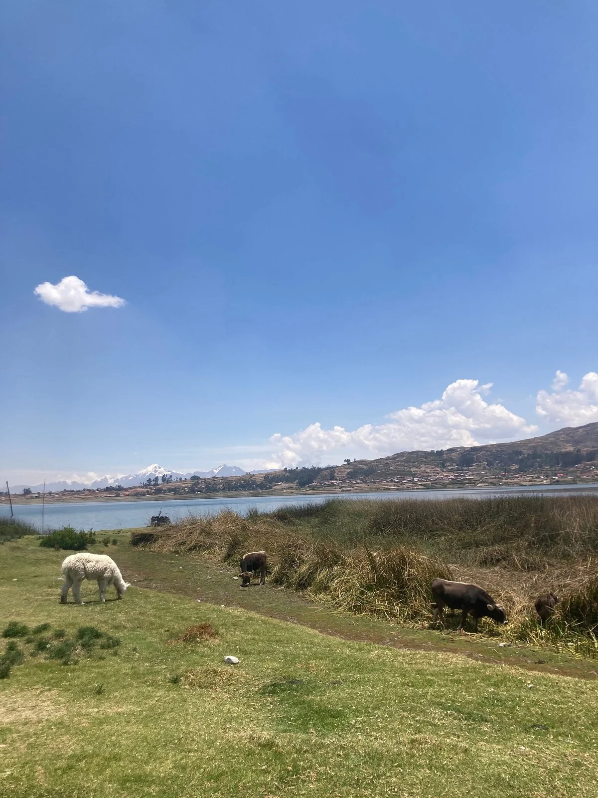 Cusco Day Hike