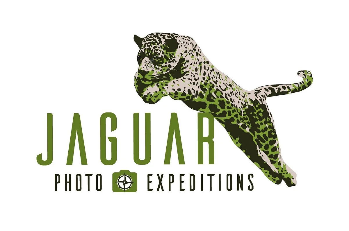 Jaguar Photo Expeditions