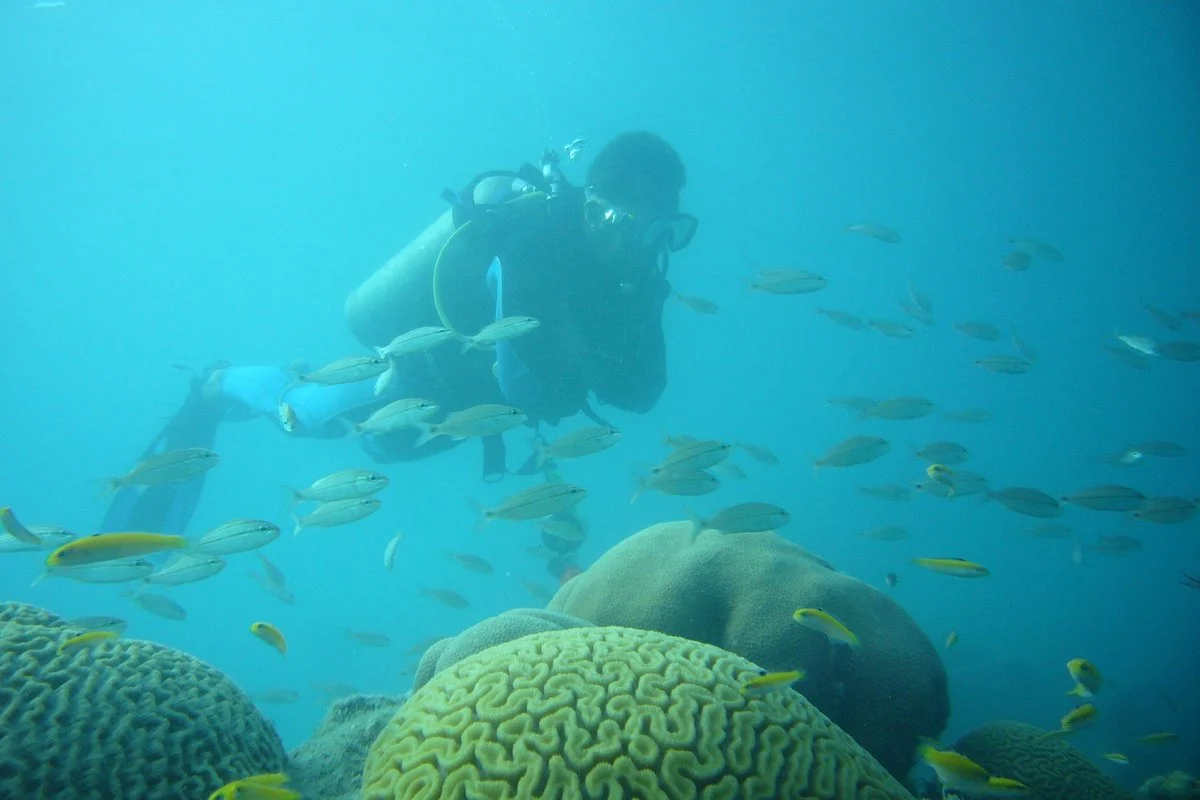Nereo Dive Center