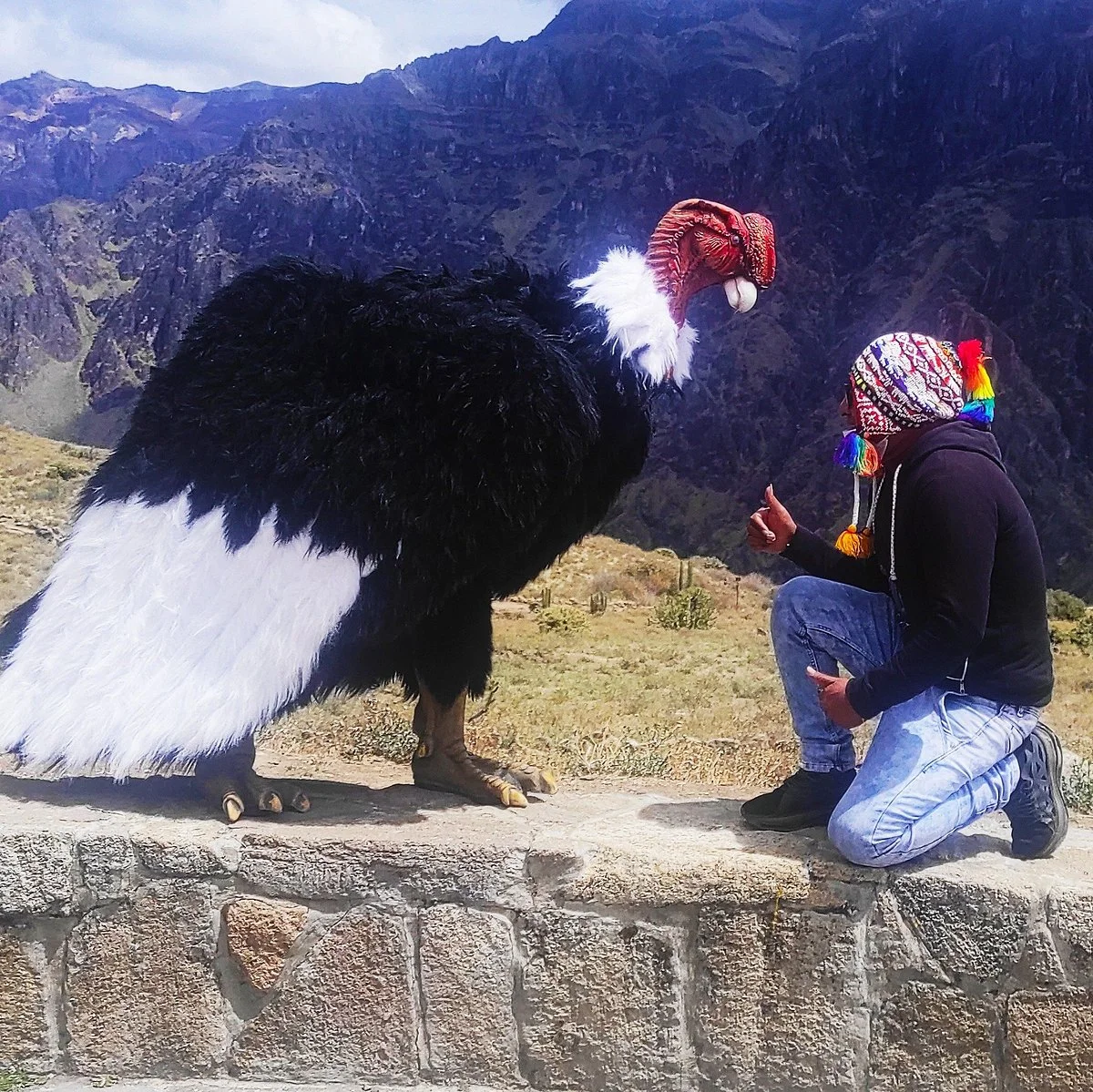 Luis tours colca cañon