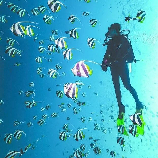 North Man Dive