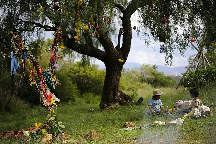 Sustainable Bolivia