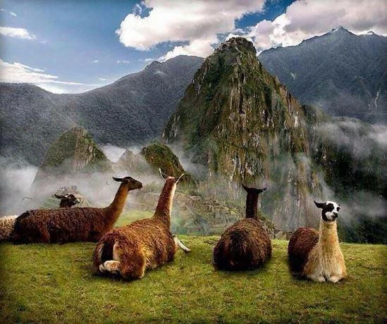Tu Viaje Peru - Day Tour