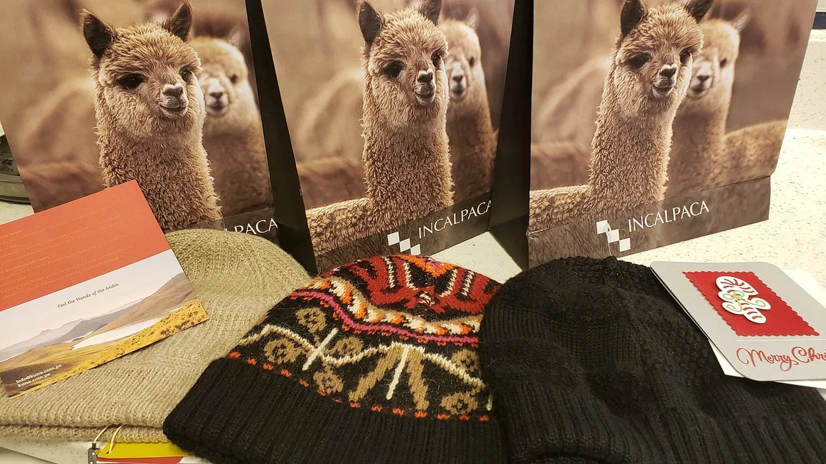 All Alpaca