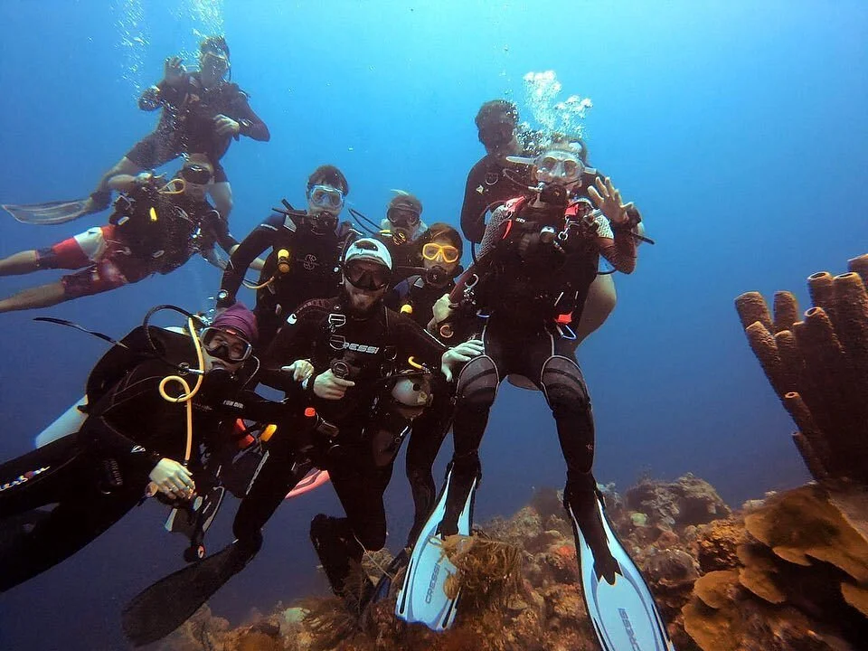 Overdive Mergulho