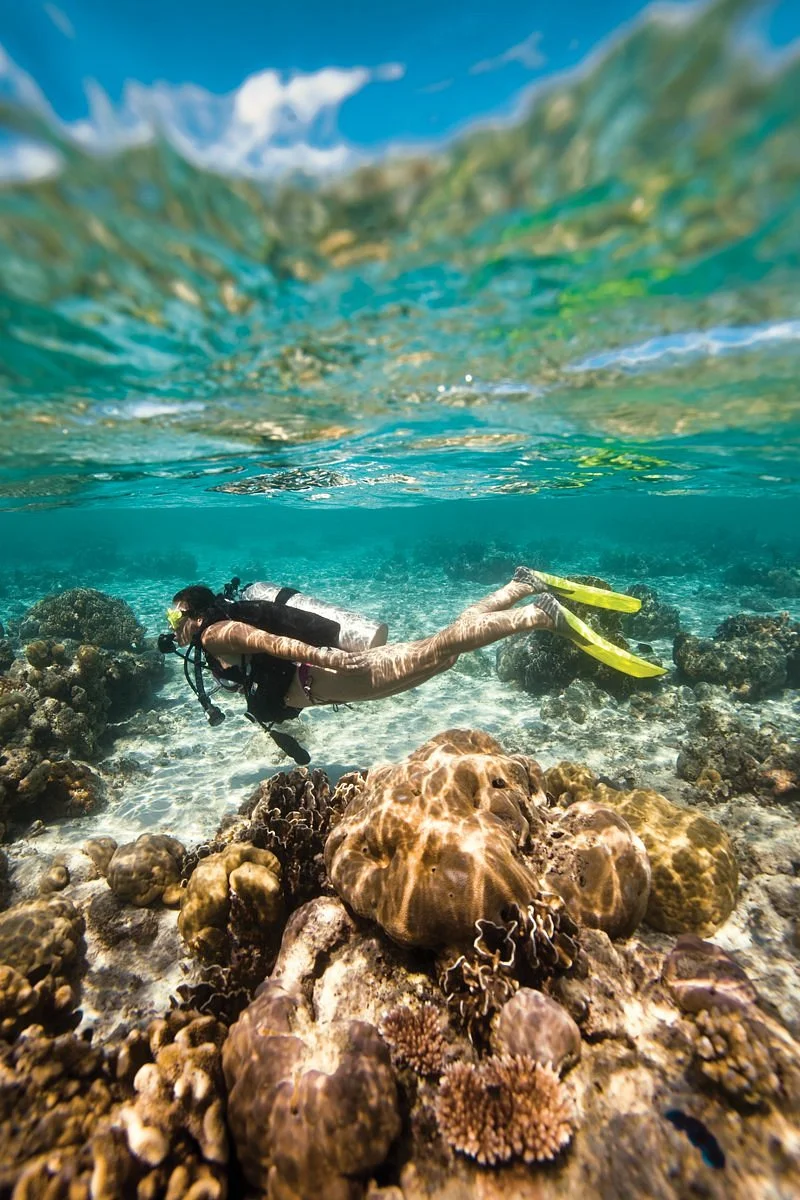 Explorer Diving