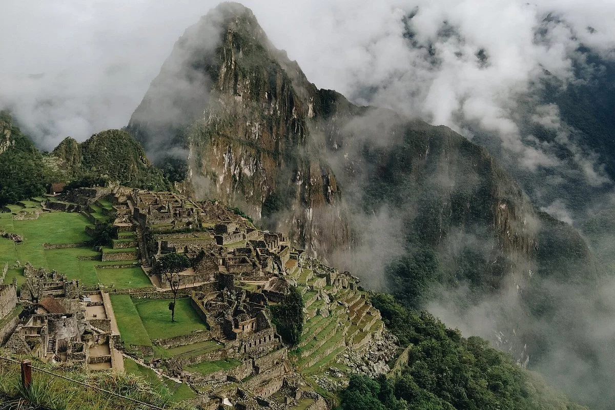 Andean Traveller