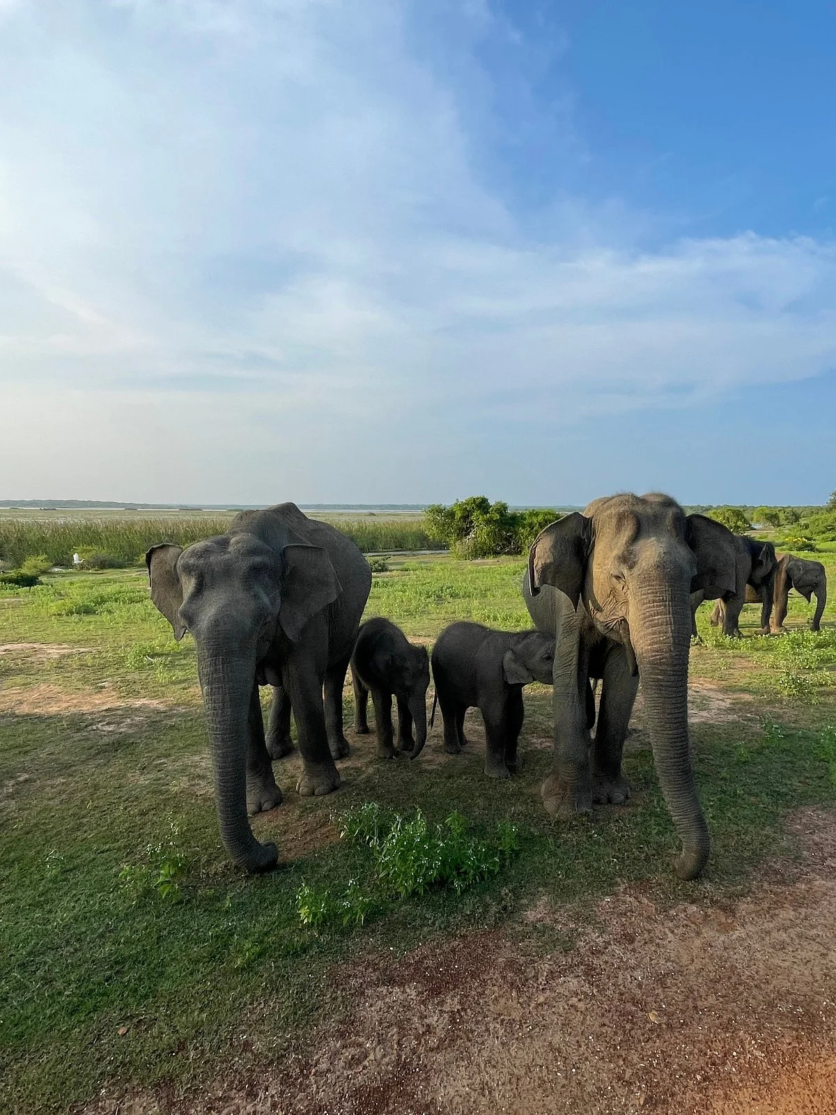 Bundala National Park