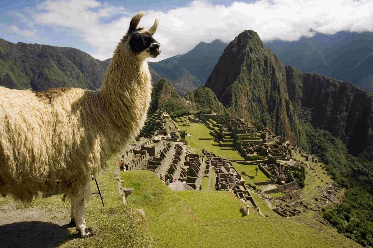 Andina Expeditions