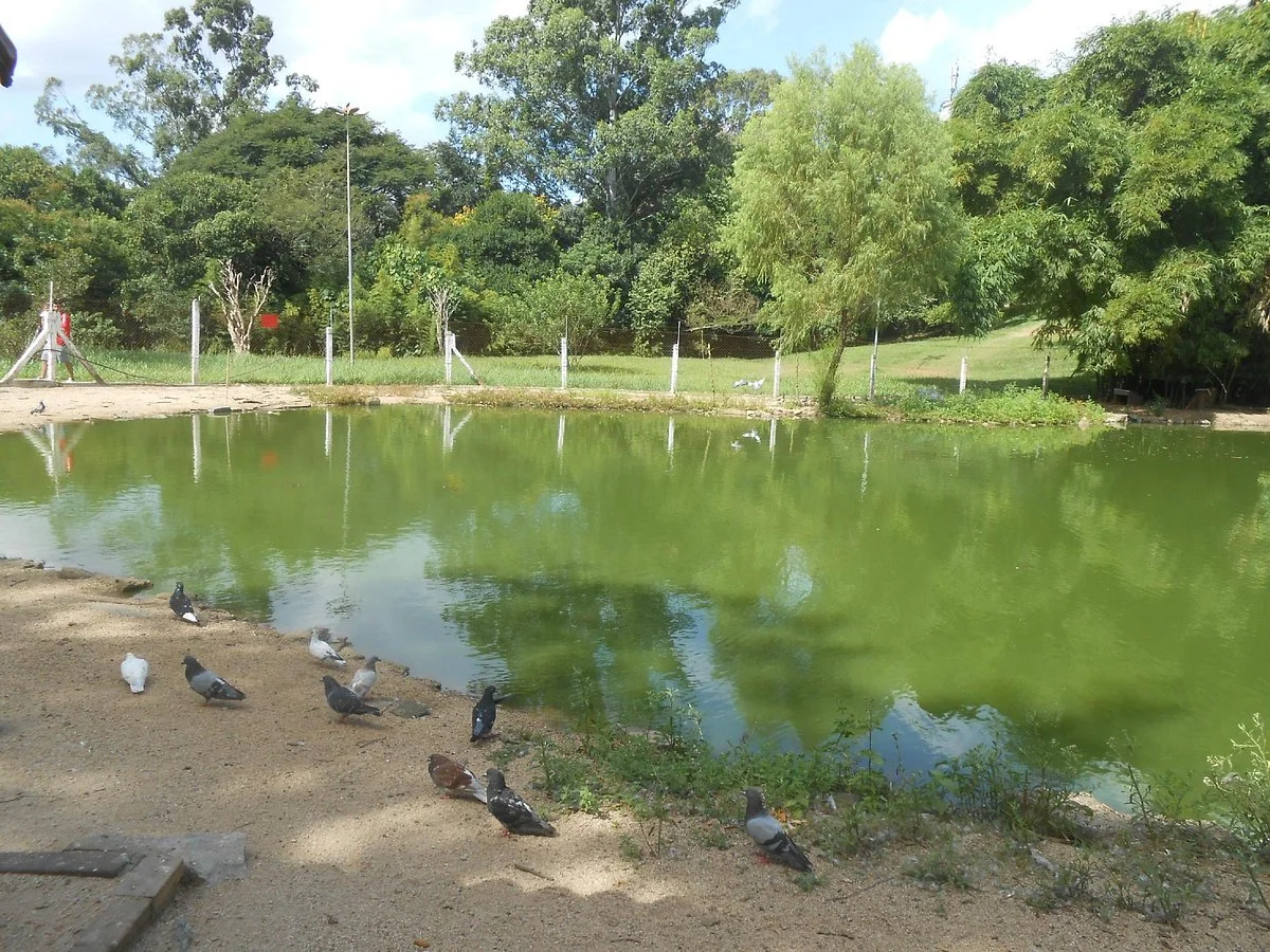 Parque Vinte De Maio